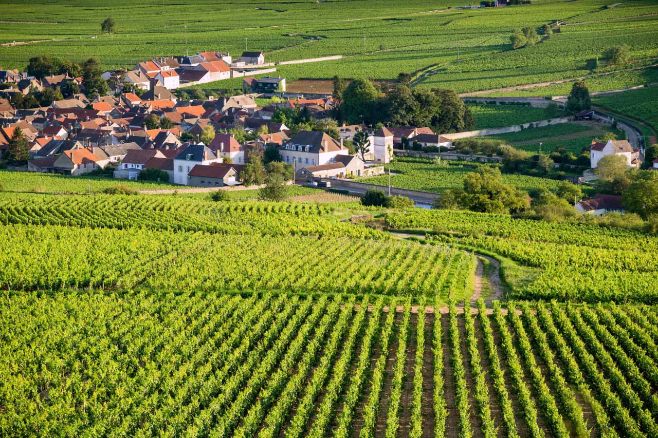 Burgundy France