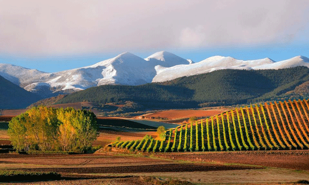 Tecnovino La Rioja 