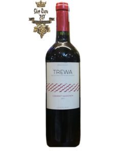 Rượu Vang Chile Trewa Clasico đỏ khi nhìn sẽ thấy có màu đỏ đậm ánh xanh. Rượu mang hương thơm của các loại trái cây mâm xôi