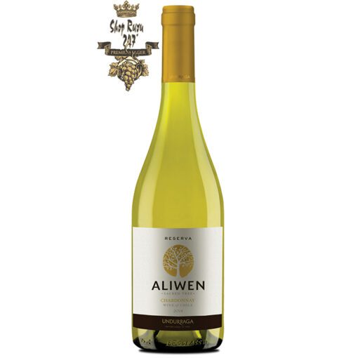 Rượu Vang Chile Aliwen Reserva trắng khi nhìn sẽ thấy có màu vàng hấp dẫn. Rượu mang hương vị của vang mềm
