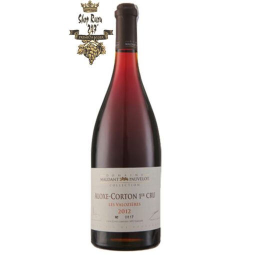 Vang Đỏ Domaine Maldant Pauvelot Aloxe Corton 2012 khi nhìn sẽ thấy có màu đỏ ruby rất đẹp. Rượu mang hương thơm nổi bật