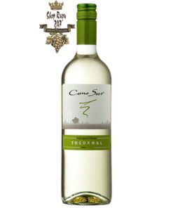 Rượu Vang Trắng Cono Sur Tocornal Sauvignon Blanco khi nhìn sẽ thấy có màu xanh lá cây và màu vàng