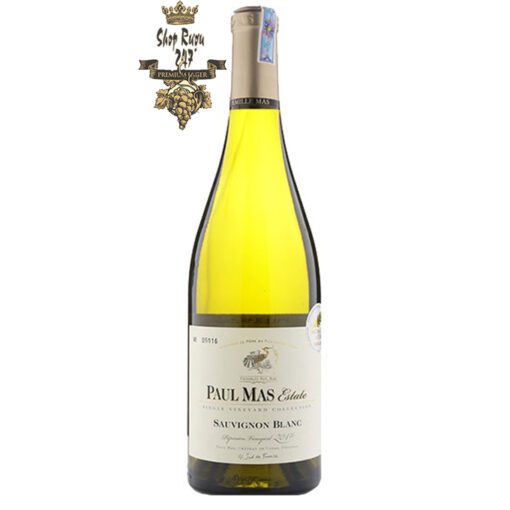 Rượu Vang Trắng Paul Mas Estate Sauvignon Blanc khi nhìn sẽ thấy có màu sắc tươi sáng, rất rõ ràng, màu vàng-xanh, với sắc xanh lục