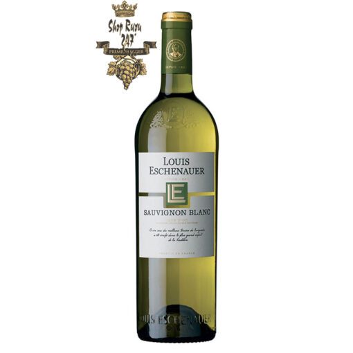 Rượu Vang Pháp Louis Eschenauer Bordeaux trắng khi nhìn có màu vàng rơm cùng ánh xanh. Hương thơm của các loại quả