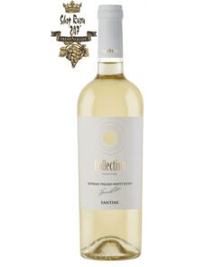 Rượu Vang Ý Fantini Collection Superme Italian White Blend khi nhìn sẽ thấy có màu vàng rơm với ánh xanh lá