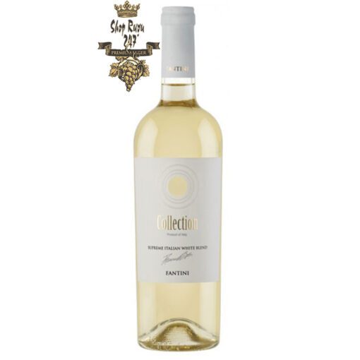 Rượu Vang Ý Fantini Collection Superme Italian White Blend khi nhìn sẽ thấy có màu vàng rơm với ánh xanh lá