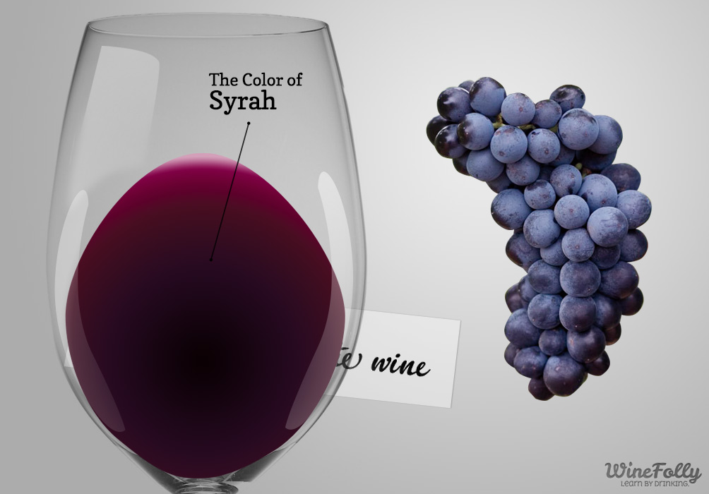 Shopruou247_hinh_anh_Syrah wine guide