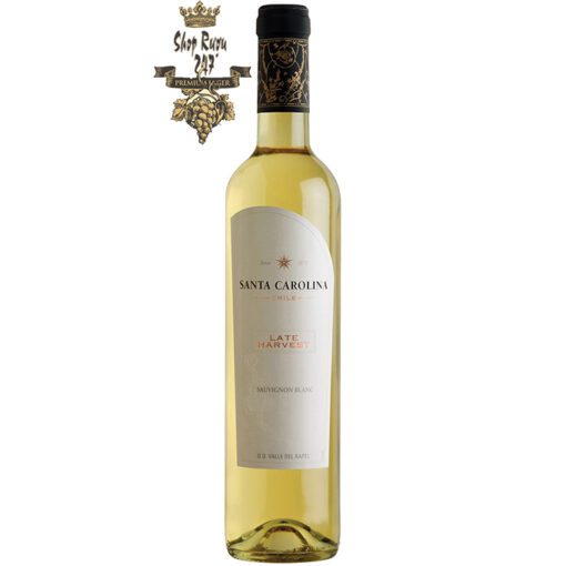 Rượu Vang Ngọt Late Harvest Sauvignon Blanc khi nhìn sẽ thấy có màu vàng tươi sáng. Rượu mang hương thơm tao nhã của đào trắng, cam quýt và cây kim ngân hoa