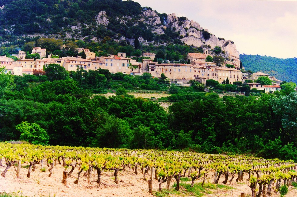 cotes_du_rhone_village_seguret_vineyards-980x649