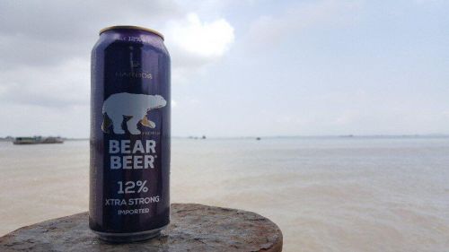 Bia Bear beer 12% lon 500ml 