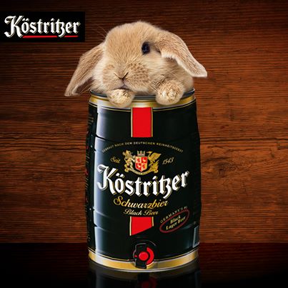 Bia Kostritzer Schwarzbier 4,8% bom 5 lít