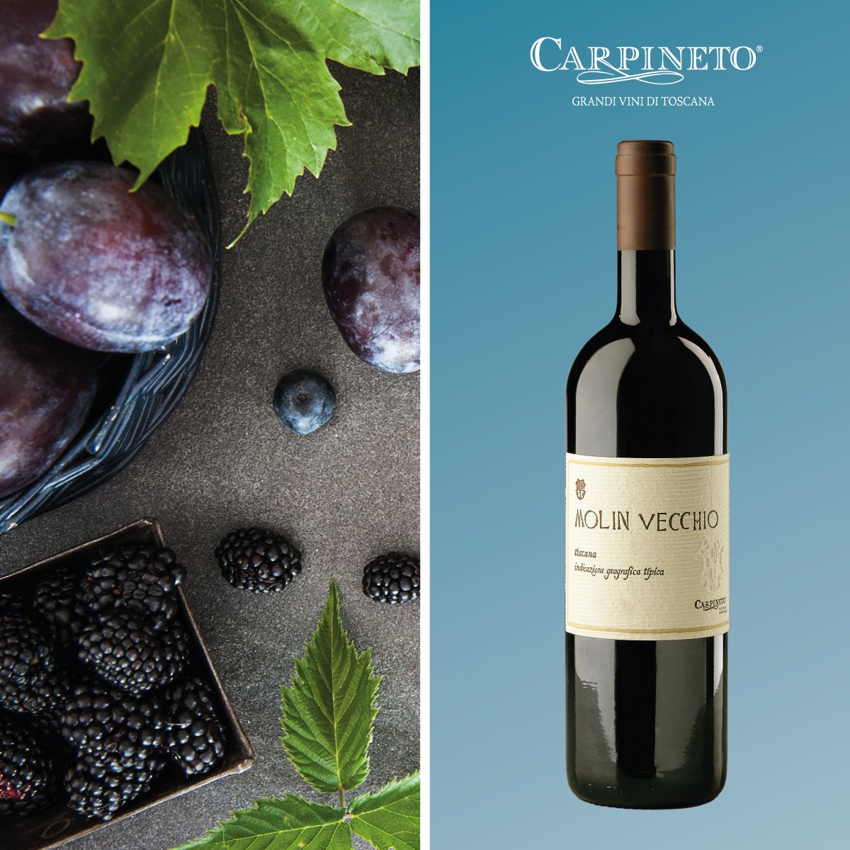 Rượu vang Carpineto Molin Vecchio Appodiato di Montepulciano
