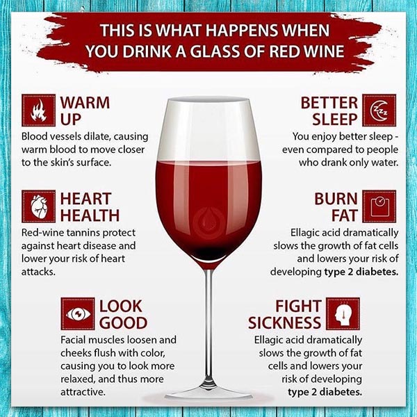 Đây là những tác dụng khi bạn uống 1 ly rượu vang đỏ mỗi ngày