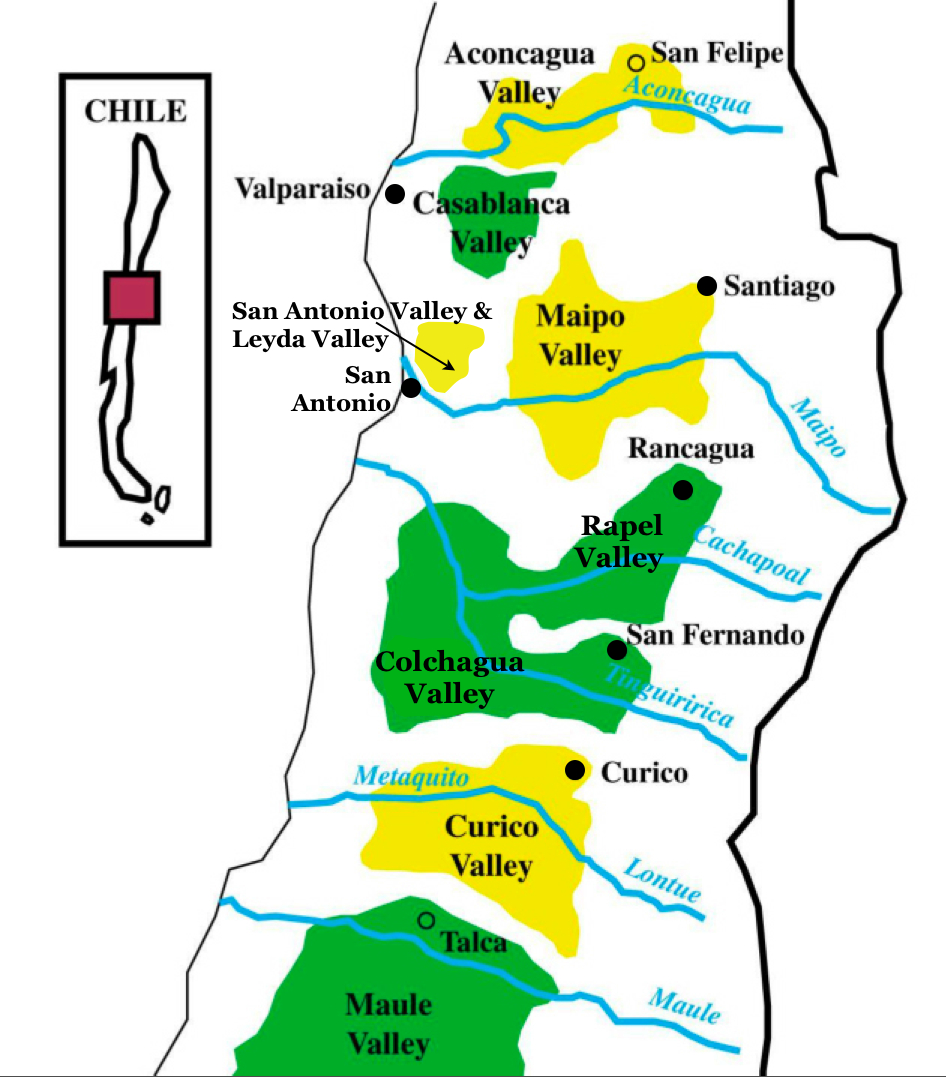 Một vài đặc điểm về rượu vang Chile 1