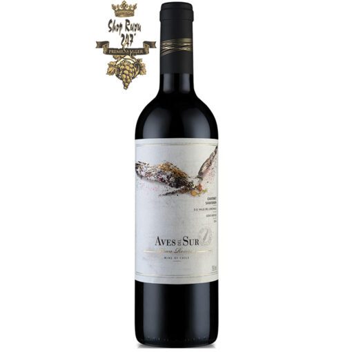 Rượu Vang Chile Aves Del Sur Gran Reserva Cabernet Sauvignon có mầu đỏ anh đào ánh xanh. Hương thơm của nho đen