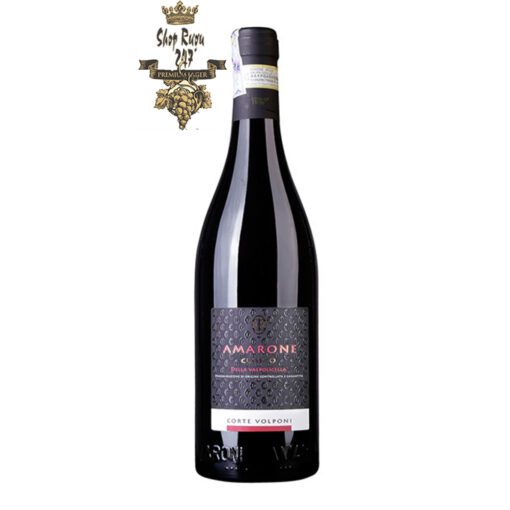 Rượu Vang Ý Amarone Classico Della Valpolicella Valerio Zenato có mầu ruby anh đào. Hương thơm của trái dâu đen, phúc bồn tử, mận