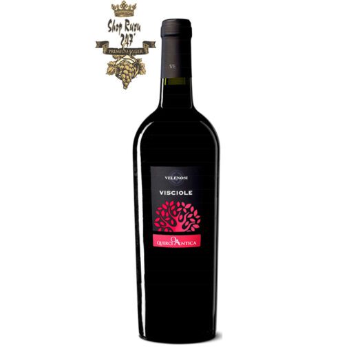 Rượu Vang Ý Visciole Velenosi có màu đỏ ruby sâu đẹp mắt. Hương thơm của hoa tím và quả chín cùng ghi chú cảu các loại trái cây mầu đỏ.