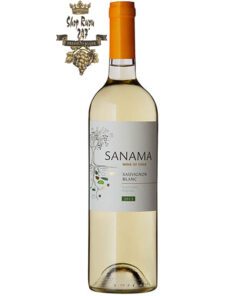 Rượu vang Chile Sanama Sauvignon Blanc được là sự pha trộn giữa  loại nho Sauvignon Blanc, Chateau Los Boldos, Chile.