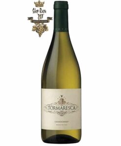 Rượu vang Ý Tormaresca Chardonnay Puglia IGT định vị sản xuất vang cao cấp của vùng, vì vậy nho được chọn