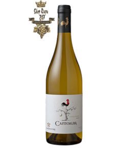Rượu Vang Chile Trắng Cantoalba Chardonnay có mầu vàng rơm tươi sáng. Hương thơm mạnh mẽ của các loại trái cây nhiệt đới