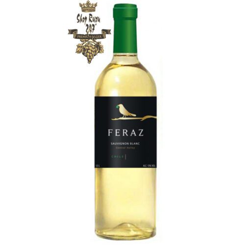 Rượu Vang Chile Trắng Feraz Sauvignon Blanc có mầu vàng nhạt đẹp mắt, tươi mát. Hương thơm của các loại hoa quả như cam quýt