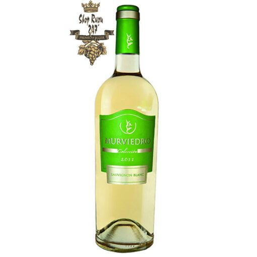 Shopruou247_hinh_anh_Vang tbn Murviedro Coleccion Sauvignon Blanc 2