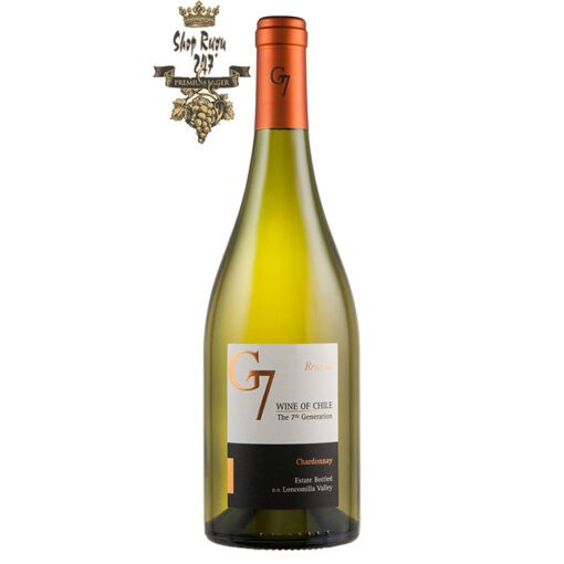 Rượu Vang Trắng G7 Reserva Chardonnay có mầu vàng ánh xanh nổi bật. Hương thơm của các loại hoa quả như đào trắng, chuối xanh