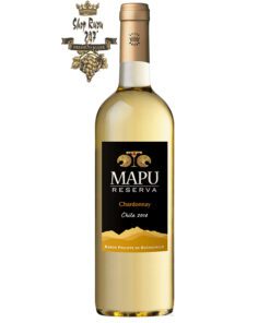 Rượu vang Chile Baron Philippe de Rothschild Mapu Reserva Chardonnay được là sự pha trộn giữa  loại nho Chardonnay