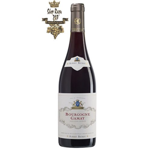 Bourgogne Gamay Albert Bichot có mầu đỏ đậm đặc. Hương thơm của anh đào, hoa hồng, hoa cẩm chướng.