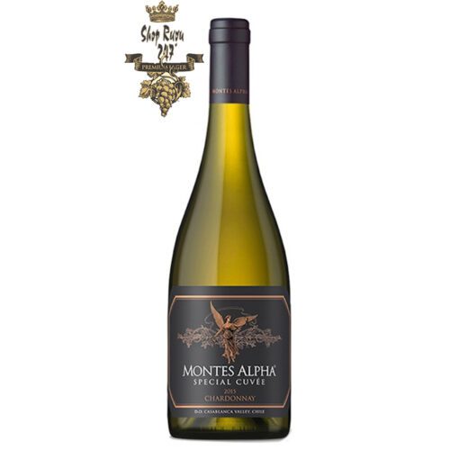 Rượu Vang Trắng Montes Alpha Special Cuvee Chardonnay có mầu vàng , với hương thơm của dứa,đào, trái cây nhiệt đới