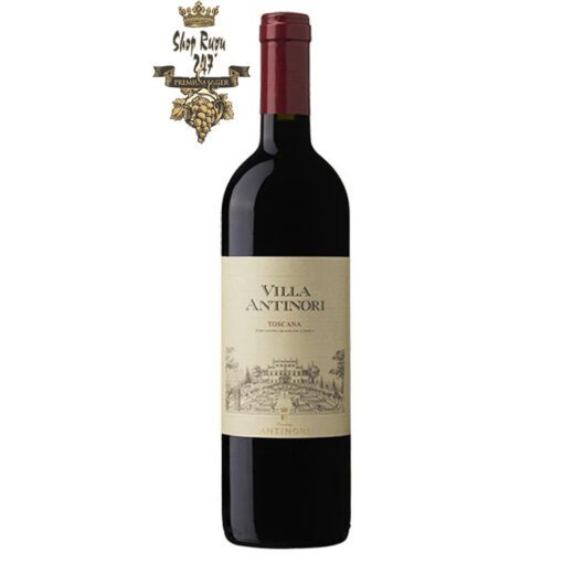 Rượu Vang Đỏ Antinori Villa Antinori Toscana IGT có mầu đỏ ruby đậm. Hương thơm dữ dội và phức tạp đặc trưng của nốt hương trái cây mầu đỏ kết hợp