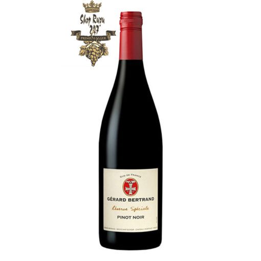 Rượu Vang Đỏ Gerard Bertrand Reserve Speciale Pays Pinot Noir có mầu đỏ đẹp mắt. Đây là một loại rượu vang trái cây và dễ uống cung cấp ghi chú của anh đào