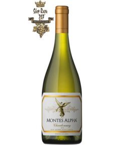 Rượu Vang Chile Trắng Montes Alpha Chardonnay có mầu vàng nhạt trung bình. Hương vị trái cây nhiệt đới như dứa, chuối và xoài chín