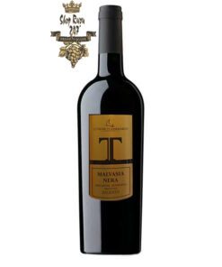 Rượu Vang Đỏ Le vigne di Sammarco T Malvasia Nera Salento có màu đỏ ruby sậm. Hương thơm đặc trưng của anh đào, cây đinh hương cũng như các loại trái cây mầu đỏ
