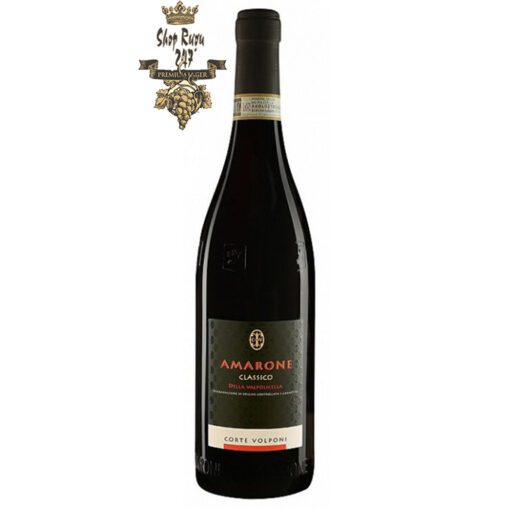 Shopruou247_hinh_anh_ruou vang amarone classico corte volponi