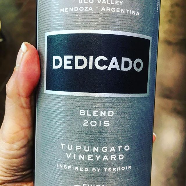 Shopruou247_hinh_anh_ruou vang argentina dedicado tupungato vineyard blend finca flichman 1