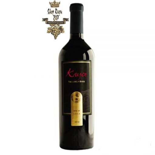 Shopruou247_hinh_anh_ruou vang chile kayen icon wine 4 1