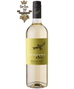 Mancura Etnia Sauvignon Blanc có mầu vàng rơm ánh xanh. Hương thơm của các loại trái cây vùng nhiệt đới như anh đào, mận kết hợp với hương hoa trắng