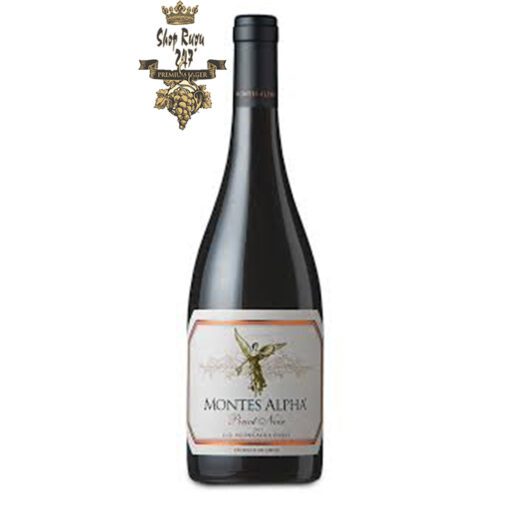 Shopruou247_hinh_anh_ruou vang chile montes alpha pinot noir 2 1