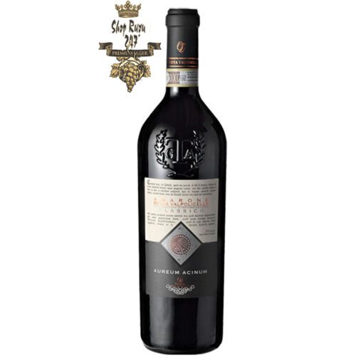 Rượu Vang Đỏ Aureum Acinum Amarone della Valpolicella Classico có mầu đỏ đậm. Hương thơm của trái cây mầu đỏ đặc biệt của anh đào cùng gợi ý của socola và anh đào