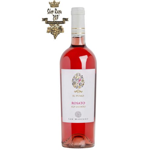Rượu Vang Ý IL Pumo Rosato Negroamro có mầu đỏ hồng ngọc rực rỡ. Hương thơm mãnh liệt và dai dẳng của các loại quả anh đào, hoa hồng và quả lựu