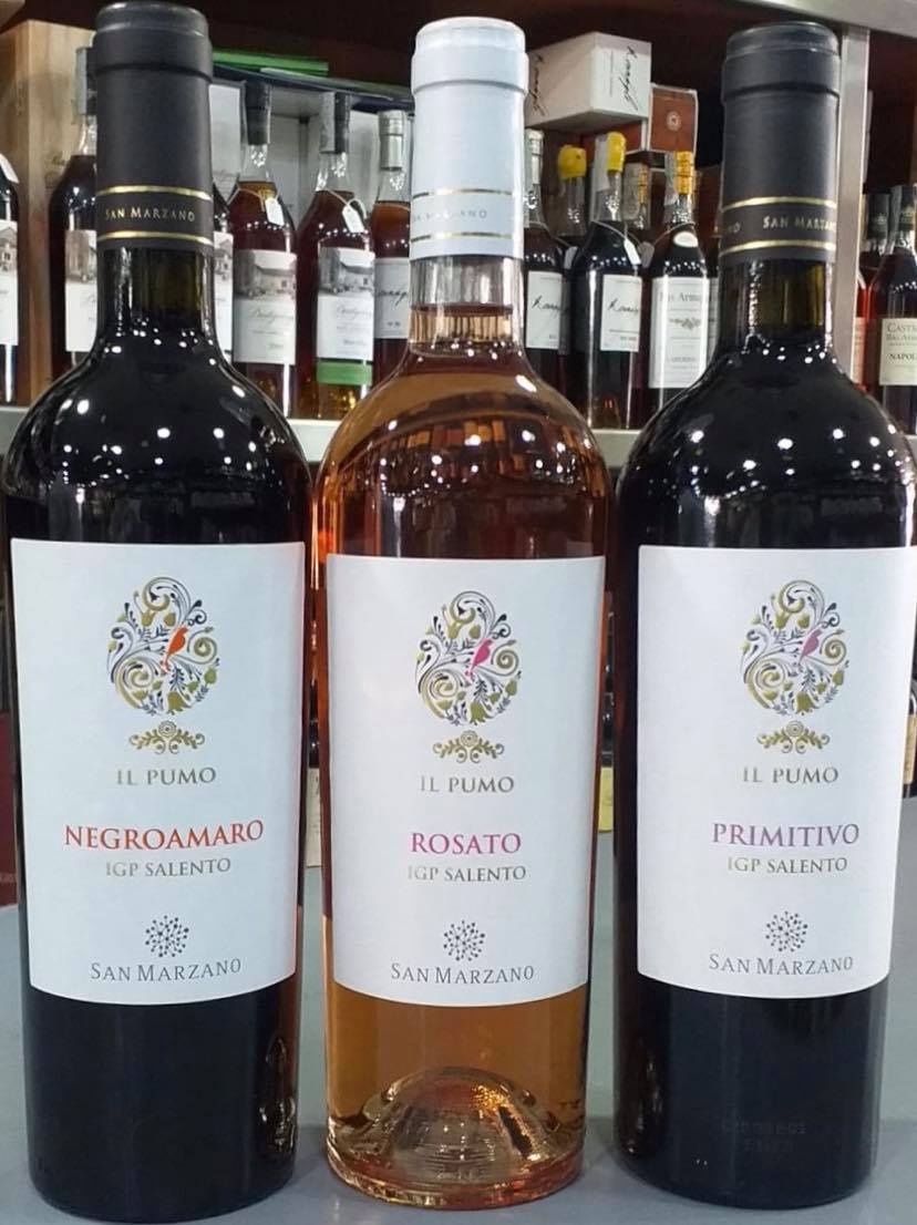 Rượu Vang Ý IL Pumo Rosato Negroamro có mầu đỏ hồng ngọc rực rỡ. Hương thơm mãnh liệt và dai dẳng của các loại quả anh đào, hoa hồng và quả lựu