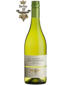 The Winery of Good Hope Chenin Blanc được là sự pha trộn giữa loại nho Chenin Blanc trở nên độc quyền hơn nhờ những cây nho có độ tuổi lâu đời