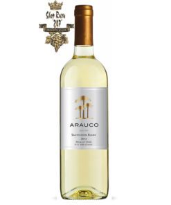 Arauco Sauvignon Blanc có mầu vàng rơm đẹp mắt. Hương thơm tươi mới của các loại trái cây nhiệt đới như anh đào, dâu tây, phúc bồn tử.