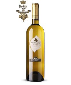 Rượu Vang Ý Trắng Ca Bianca Moscato có mầu vàng rơm. Hương thơm mãnh liệt của anh đào, cây xô thơm và các trái cây như cam quýt ngọt ngào
