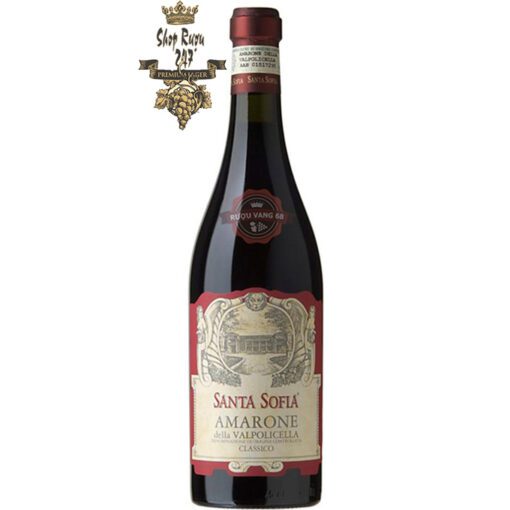 Rượu Vang Đỏ Santa Sofia Amarone della Valpolicella có mầu đỏ hồng ngọc mạnh mẽ. Hương thơm của hoa mãnh liệt cùng hương vị tinh tế, đây dủ, mượt mà.