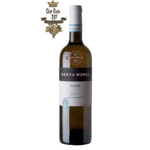 Rượu Vang Đỏ Santa Sofia Soave Montefoscarino có mầu vàng rơm nhạt. Hương thơm của các loại trái cây như đào trắng, vỏ cam, sả, cây hồi