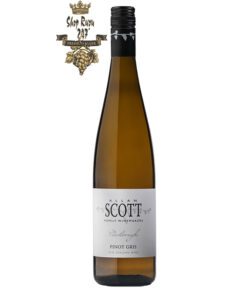 Rượu vang New Zealand Allan Scott Pinot Gris đem đến một hương vị của trái cây nồng nàn và đặc biệt có sự góp mặt của gia vị