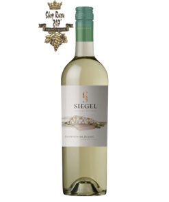 Vang Chile Trắng Siegel Special Reserve Sauvignon Blanc có mầu vàng nhạt ánh xanh. Hương thơm của các loại quả như bưởi lê cùng gợi ý của thảo mộc