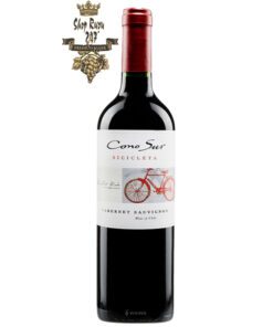 Rượu Vang Đỏ Cono Sur Bicicleta Cabernet Sauvignon có mầu đỏ hồng tươi sạch sẽ. Hương thơm của trái cây như mận, quả mọng
